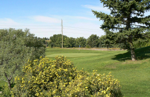 Fox Hollow Golf Course Photos